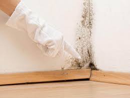 Best Mold Odor Removal Services  in Brooklyn, WI